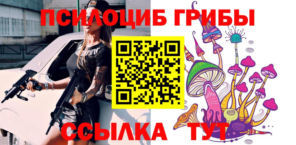 Галлюциногенные грибы Psilocybine cubensis Заводоуковск